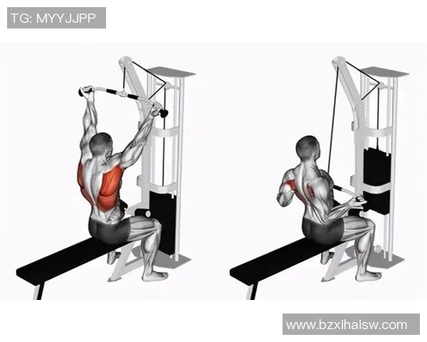 练背的健身器材视频：推荐一些练背部肌肉的最佳器材视频教程