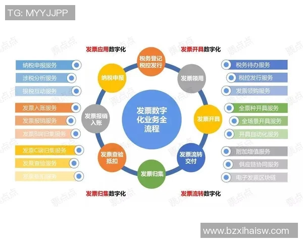 税务管理创新与数字化转型推动税收征管效率提升的探索与实践